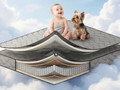 Ортопедический матрас Dual Lux - Мебельный центр «ЭМА»